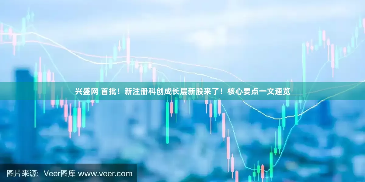 兴盛网 首批！新注册科创成长层新股来了！核心要点一文速览