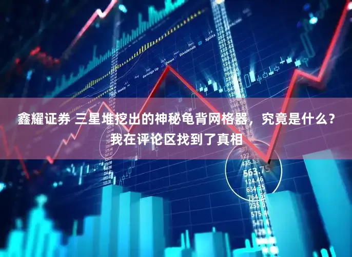 鑫耀证券 三星堆挖出的神秘龟背网格器，究竟是什么？我在评论区找到了真相